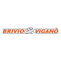 Brivio & Viganò logo Brivio & Viganò logo