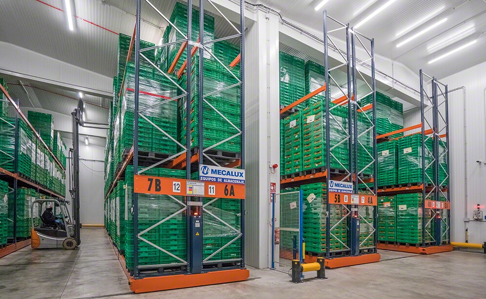 Entrepôt sectorisé de Grupo Alimentario Citrus à température réfrigérée Entrepôt sectorisé de Grupo Alimentario Citrus à température réfrigérée